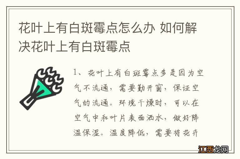 花叶上有白斑霉点怎么办 如何解决花叶上有白斑霉点