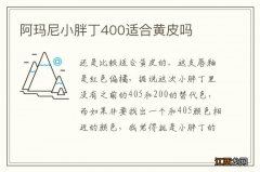 阿玛尼小胖丁400适合黄皮吗