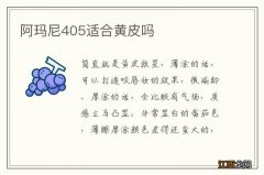 阿玛尼405适合黄皮吗