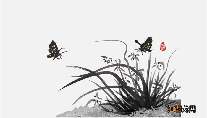 香水兰开完花怎么办视频 香水兰开完花怎么办