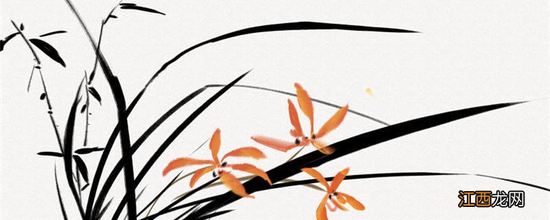 香水兰开完花怎么办视频 香水兰开完花怎么办