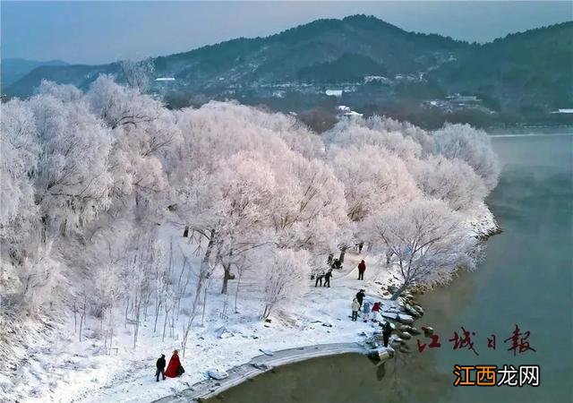 快来看看吉林松花江岸美丽的雾凇