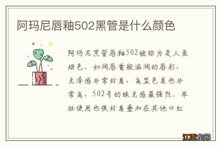 阿玛尼唇釉502黑管是什么颜色