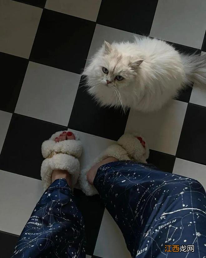 这5件毛绒单品,保暖和颜值兼备