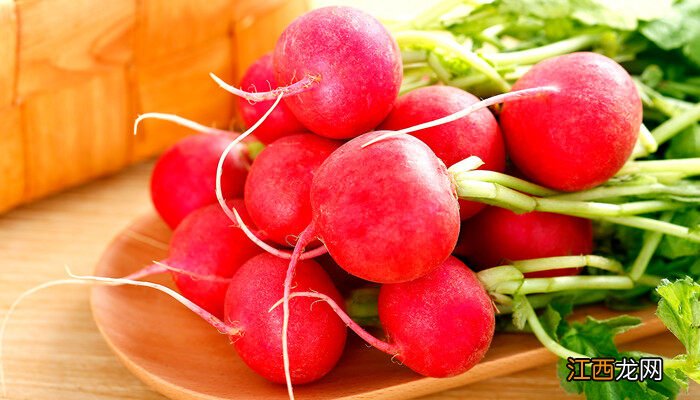 凤梨萝卜的种植方法和注意事项