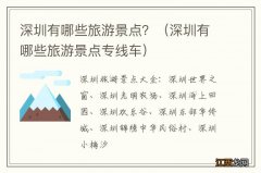 深圳有哪些旅游景点专线车 深圳有哪些旅游景点？