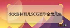 小欢喜林磊儿50万奖学金第几集小欢喜林磊儿50万奖金哪一集