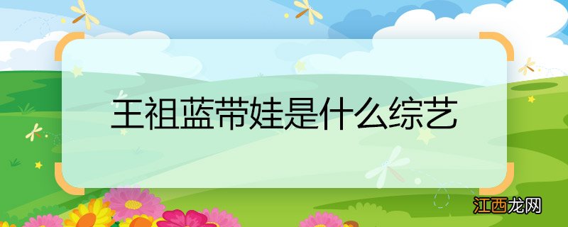 王祖蓝带娃是什么综艺 王祖蓝带娃的综艺