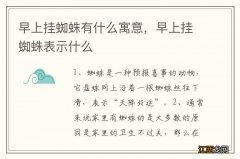 早上挂蜘蛛有什么寓意，早上挂蜘蛛表示什么