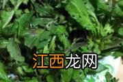 哺乳期吃荠菜会回奶吗 吃荠菜后奶水减少是怎么回事