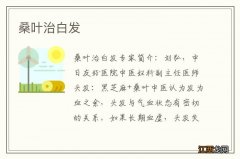 桑叶治白发