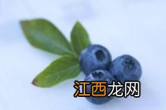 冬季吃什么可以提高抵抗力？冬季提高抵抗力的食物有哪些？