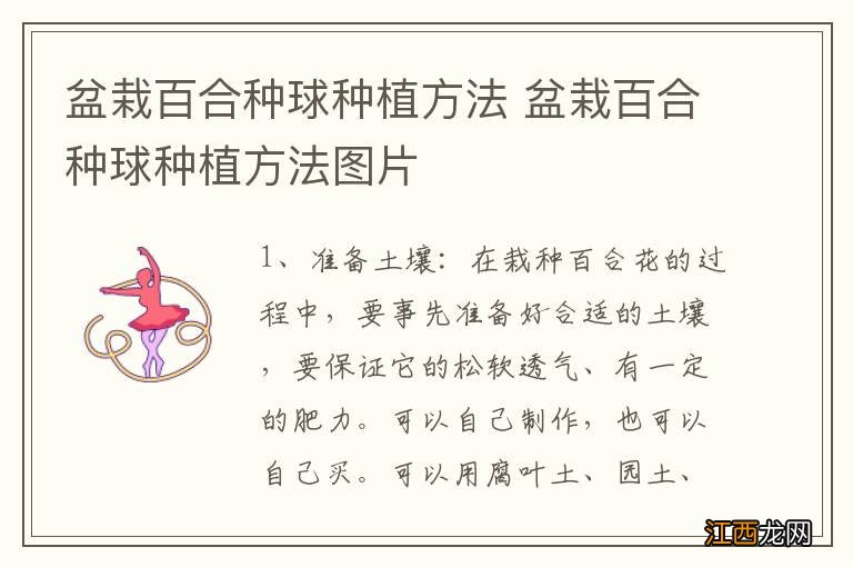 盆栽百合种球种植方法 盆栽百合种球种植方法图片