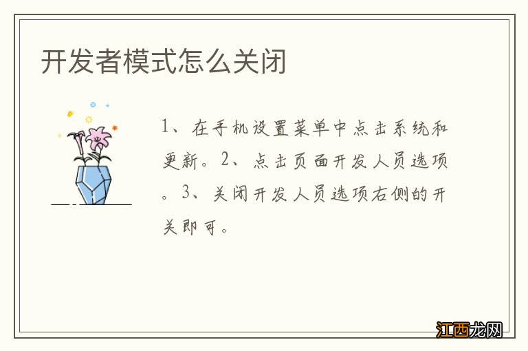 开发者模式怎么关闭