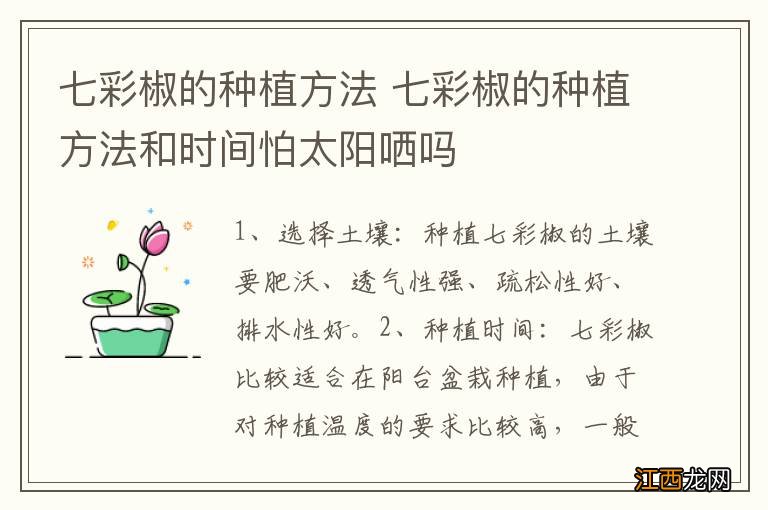 七彩椒的种植方法 七彩椒的种植方法和时间怕太阳哂吗