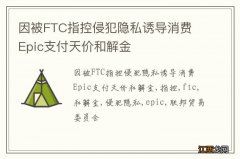 因被FTC指控侵犯隐私诱导消费 Epic支付天价和解金