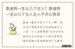 泰迪狗一生认几个主人？泰迪狗一生认几个主人主人不开心贵宾犬干嘛