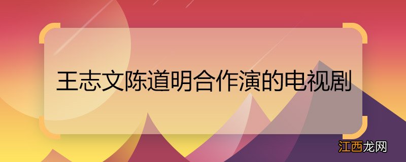 王志文陈道明合作演的电视剧 王志文陈道明合作演的电视剧是什么