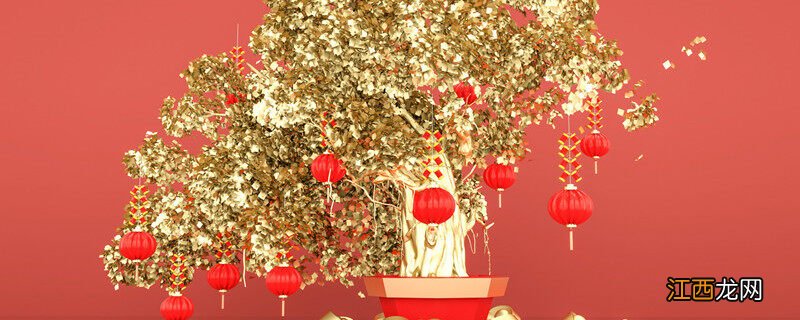 金钱树开花的寓意及象征 金钱树开花的寓意