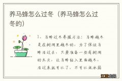 养马蜂怎么过冬的 养马蜂怎么过冬