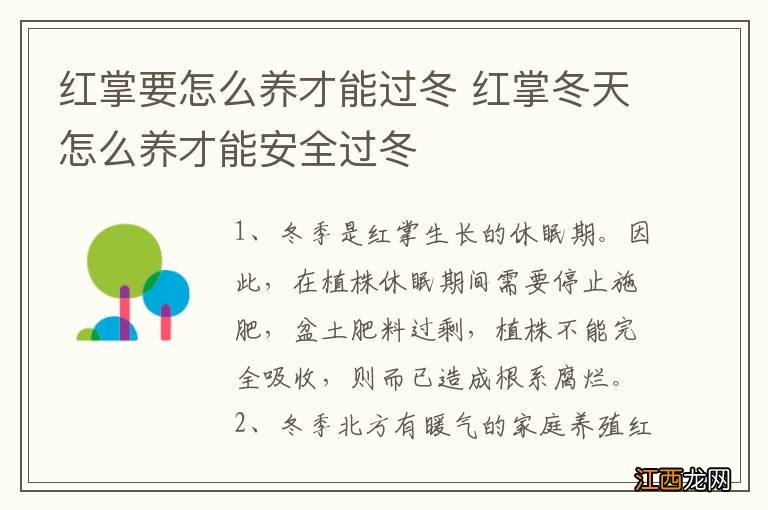 红掌要怎么养才能过冬 红掌冬天怎么养才能安全过冬