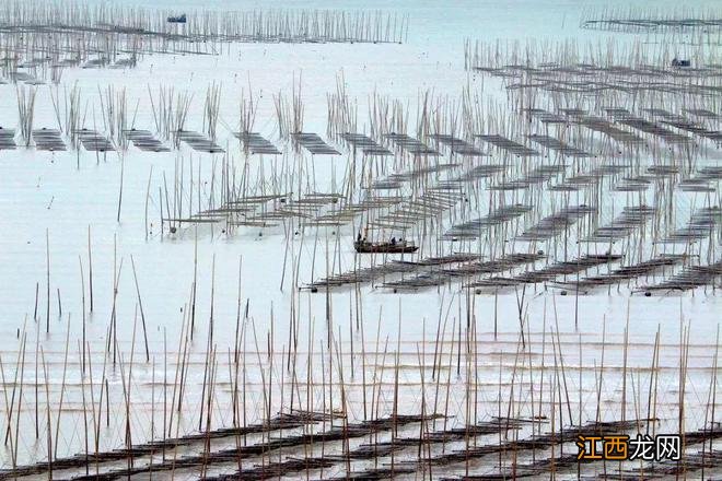 一旦去了霞浦，其他地方都成了将就。