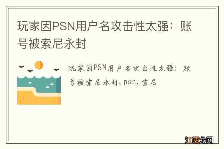 玩家因PSN用户名攻击性太强：账号被索尼永封