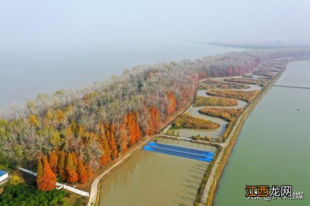 江苏洪泽:初冬的水源地风景如画