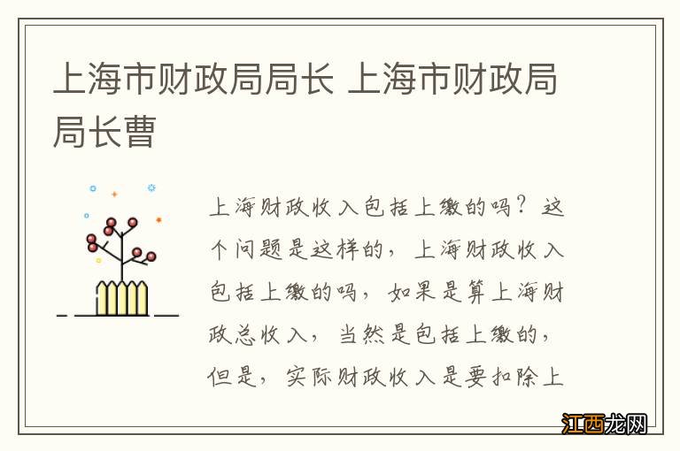 上海市财政局局长 上海市财政局局长曹