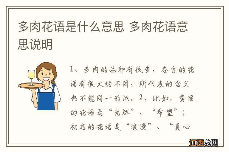 多肉花语是什么意思 多肉花语意思说明