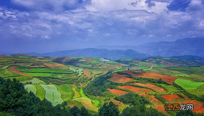 云南红土适合种什么花不 云南红土适合种什么花