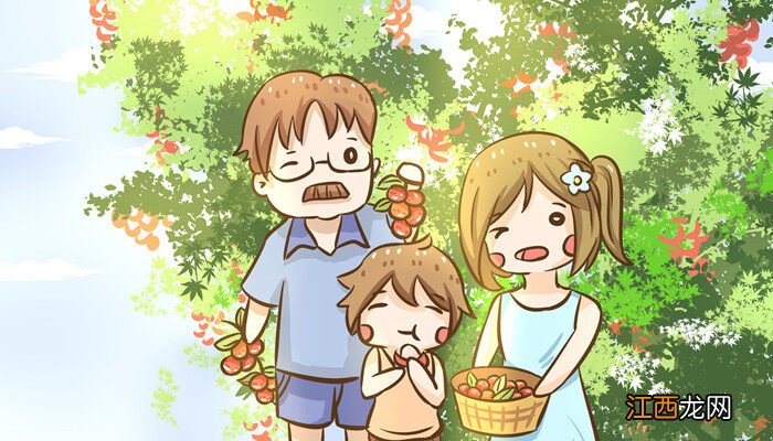 荔枝产地主要在哪个省和成熟季节 荔枝产地主要在哪个省