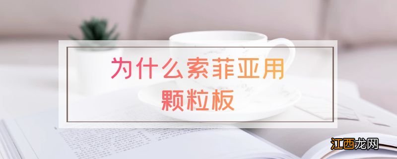 为什么索菲亚用颗粒板