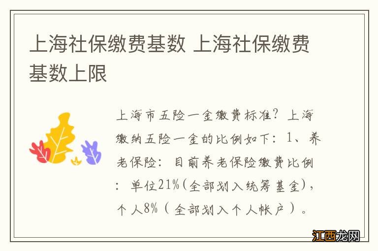 上海社保缴费基数 上海社保缴费基数上限