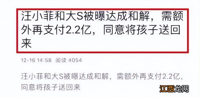 知情人称大S将保姆辞退，不想被张兰掌握行踪，网友怒斥太自私