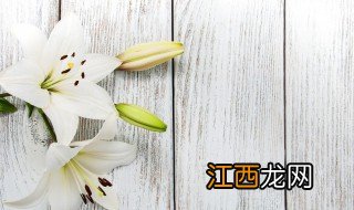 水养百合花叶子发黄的原因及解决方法 水养百合花叶子发黄怎么办