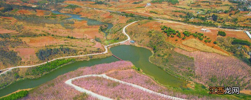 黄土适合种什么植物 红土适合种什么植物