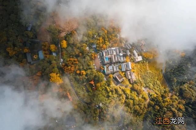 「灵岩寺」千年古寺，也收纳了整个秋天