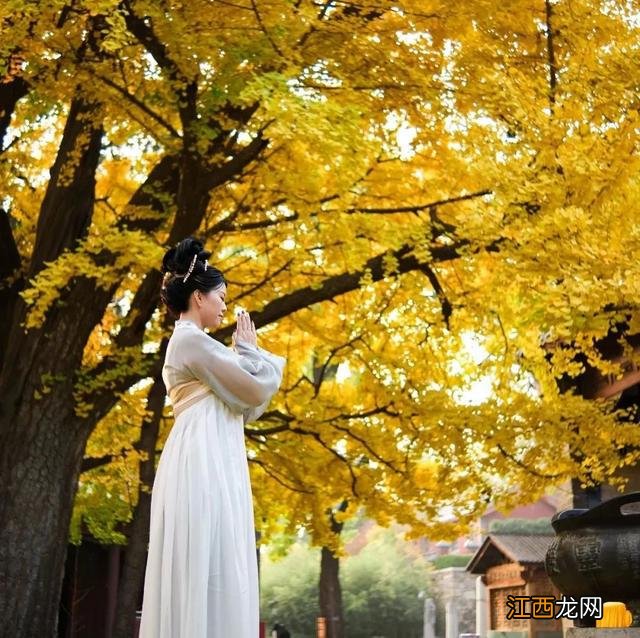 「灵岩寺」千年古寺，也收纳了整个秋天