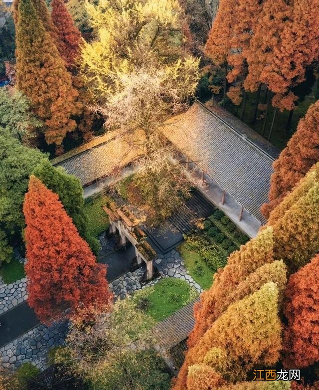 「灵岩寺」千年古寺，也收纳了整个秋天