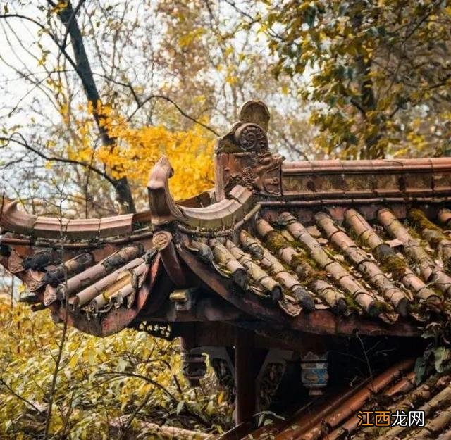 「灵岩寺」千年古寺，也收纳了整个秋天