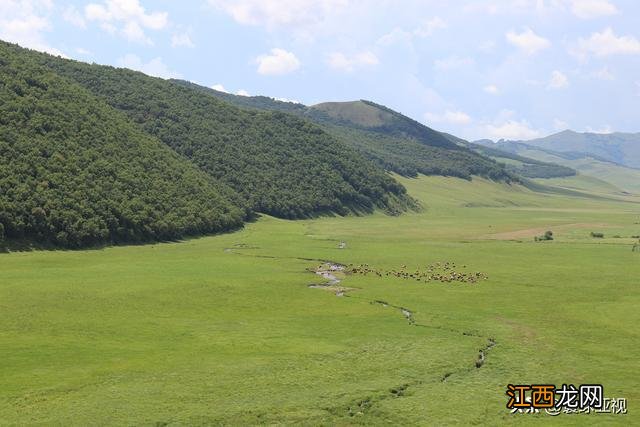 内蒙古三大草原:科尔沁、呼伦贝尔、锡林郭勒草原 壮丽的风景线