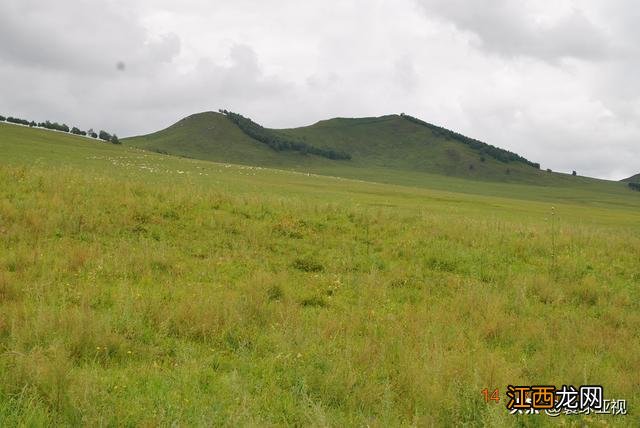 内蒙古三大草原:科尔沁、呼伦贝尔、锡林郭勒草原 壮丽的风景线