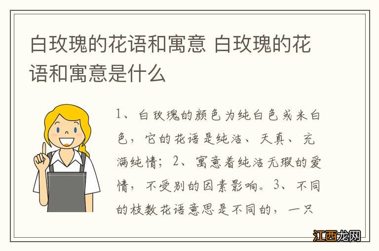 白玫瑰的花语和寓意 白玫瑰的花语和寓意是什么