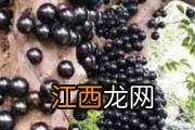 孕期腰疼要怎么缓解 孕期为什么容易腰痛