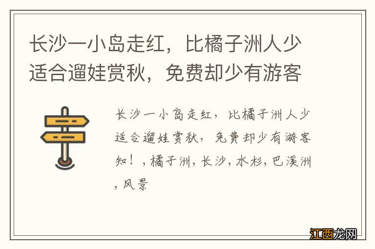长沙一小岛走红，比橘子洲人少适合遛娃赏秋，免费却少有游客知！