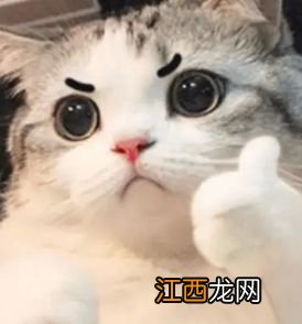 美少女们的仿妆技术令人惊叹,网友直呼现代易容术也不过如此?!