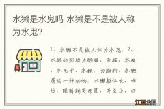 水獭是水鬼吗 水獭是不是被人称为水鬼？