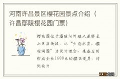 许昌鄢陵樱花园门票 河南许昌景区樱花园景点介绍