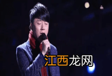 好声音历届冠军 好声音历届的冠军有谁